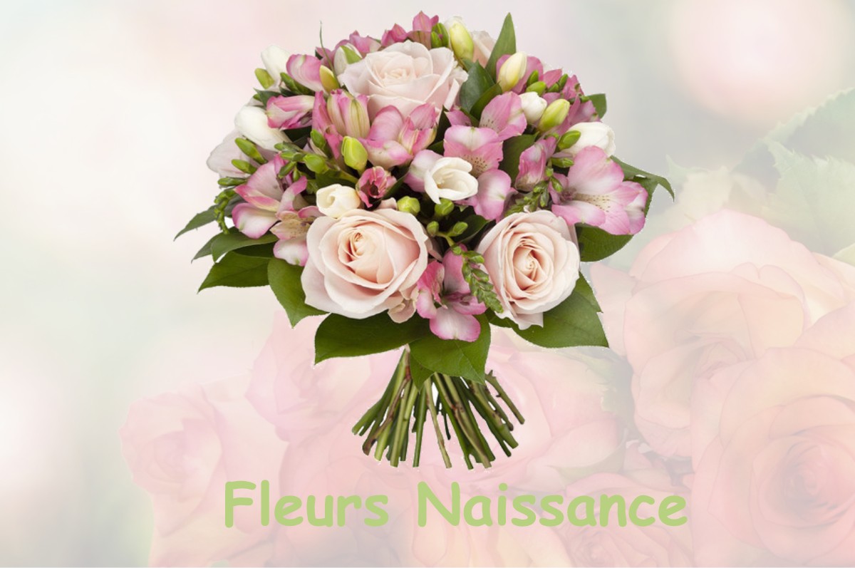 fleurs naissance BADINIERES