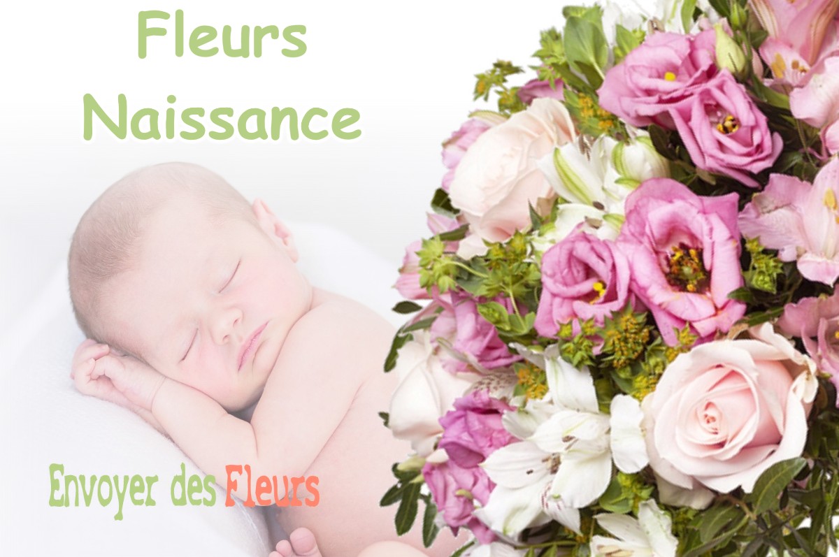 lIVRAISON FLEURS NAISSANCE à BADINIERES